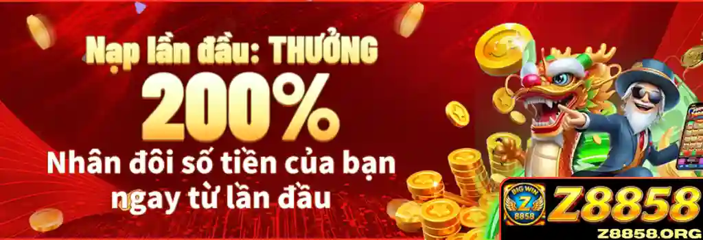 Khuyến mãi Z8858